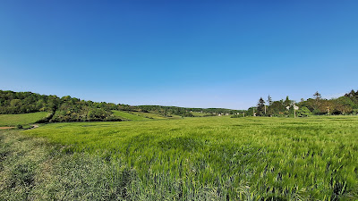 HARAS de BAZEMONT à Bazemont