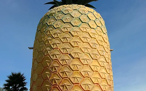 The Big Pineapple image