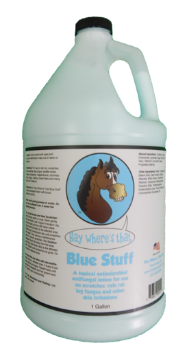 Tack Shop «Equine Exchange Tack Shop», reviews and photos, 1251 Ridge Rd, Pottstown, PA 19465, USA