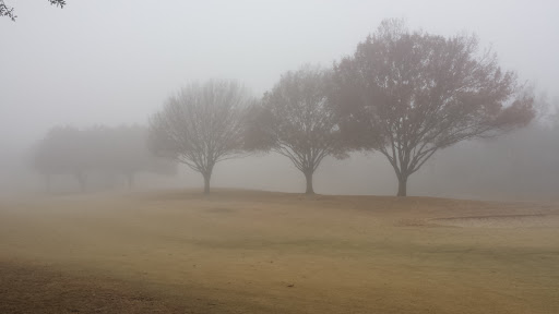 Golf «Stevens Park Golf Course», reviews and photos, 1005 N Montclair Ave, Dallas, TX 75208, USA