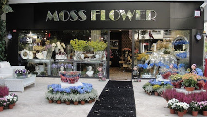 Moss Çiçek