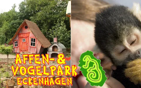 Monkey & bird park Eckenhagen image