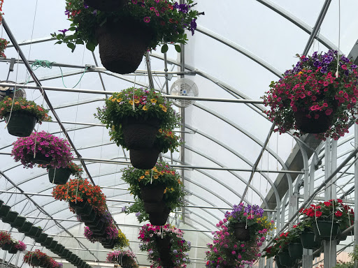 Florist «Robben Florist & Garden Center», reviews and photos, 352 Pedretti Ave, Cincinnati, OH 45238, USA