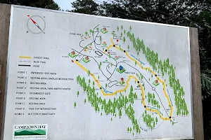 Camp John Hay Forest Bathing Trail image