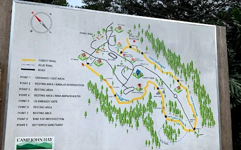Camp John Hay Forest Bathing Trail image