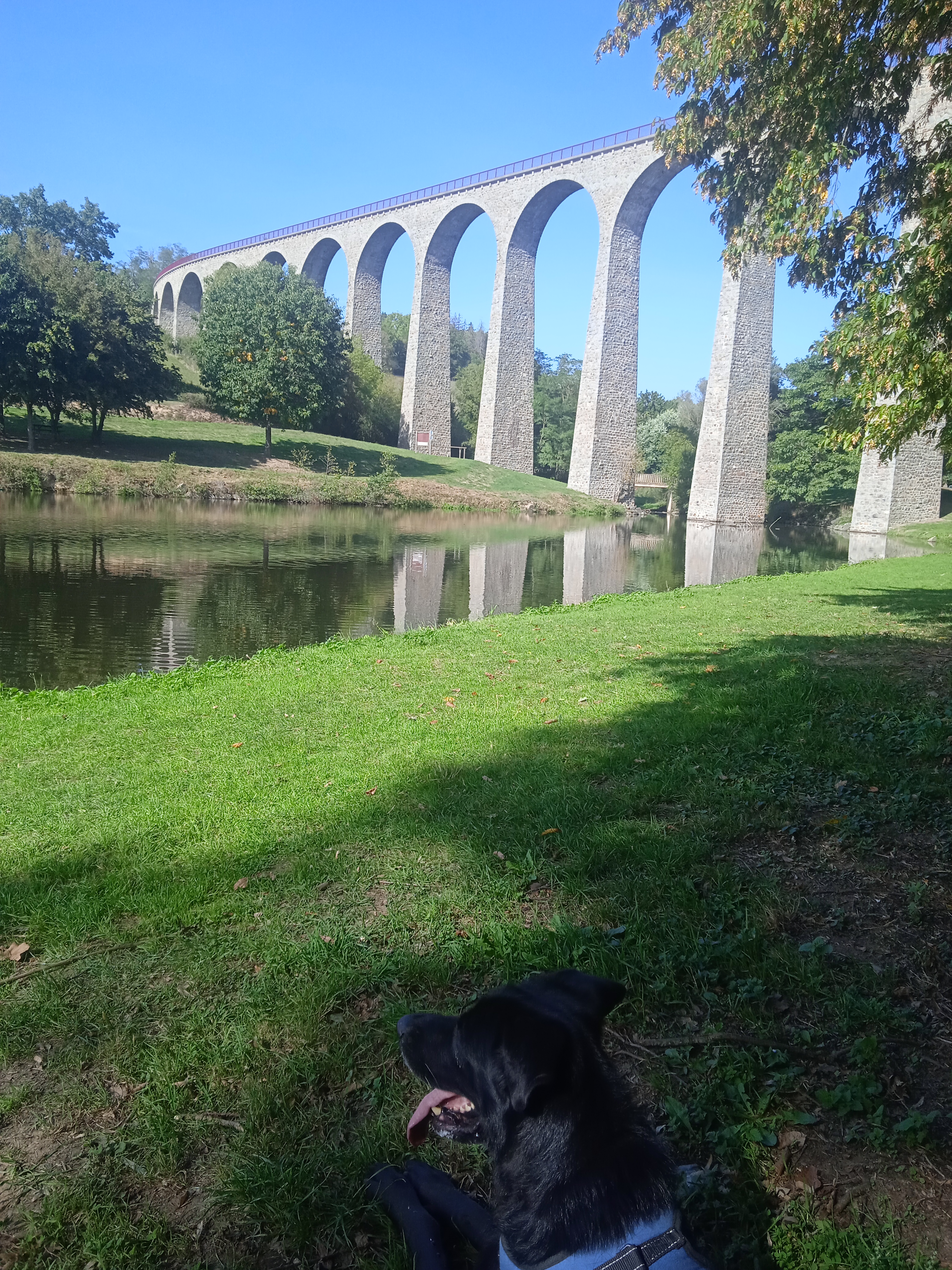 Photo n° 1 de l'avis de Veronique.a fait le 01/10/2023 à 14:22