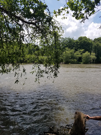 Restaurant «Salvage Station», reviews and photos, 468 Riverside Dr, Asheville, NC 28801, USA