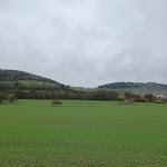 Photo n°1 de l'avis de Bev.o fait le 01/05/2023 à 20:49 sur le  Hotel - Landgasthof Grüner Baum Dittigheim à Tauberbischofsheim