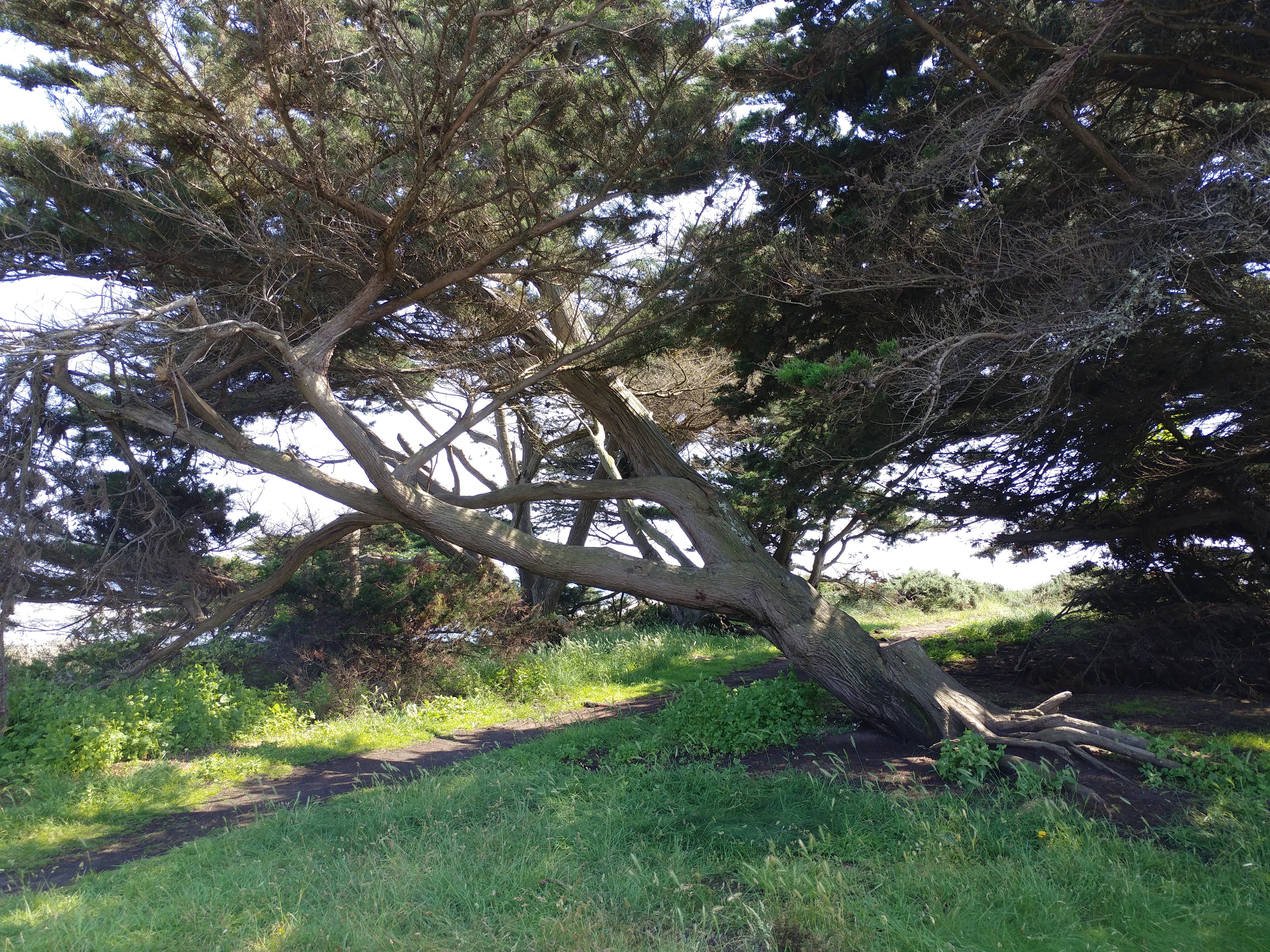 Photo n° 2 de l'avis de Stéphane.a fait le 01/07/2018 à 19:33