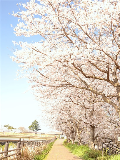 橋本町民会館