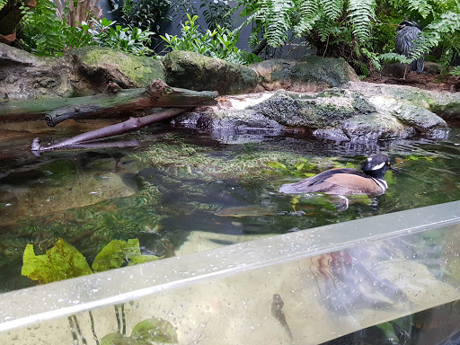 Aquarium «The Florida Aquarium», reviews and photos, 701 Channelside Dr, Tampa, FL 33602, USA