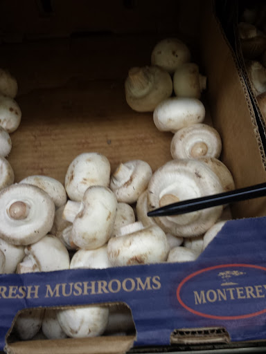 Grocery Store «Holiday Market», reviews and photos, 16981 Placer Hills Rd # A8, Meadow Vista, CA 95722, USA