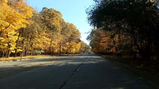 Nature Preserve «Forest Preserves of Cook County», reviews and photos, 9460 S Dee Rd, Park Ridge, IL 60068, USA