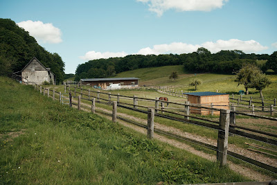 SCEA du Val aux Pommes à Valorbiquet