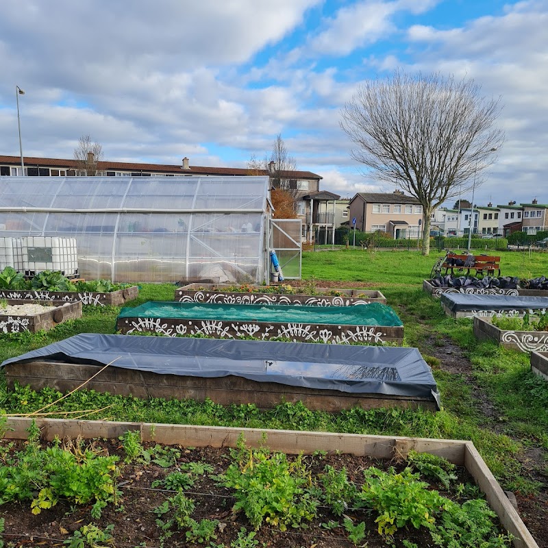 Togher Community Garden