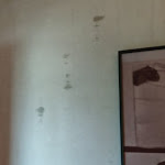 Photo n°1 de l'avis de T..e fait le 27/10/2022 à 17:15 sur le  Eckert à Grenzach-Wyhlen