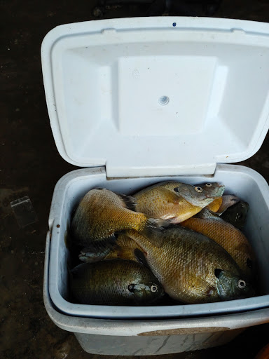 Oxbow Bait & Archery Supplies