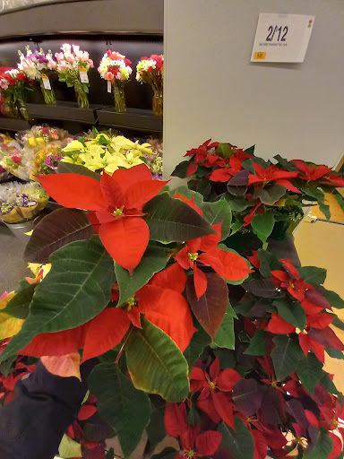 Grocery Store «Stop & Shop», reviews and photos, 465 Atlantic Ave, Oceanside, NY 11572, USA