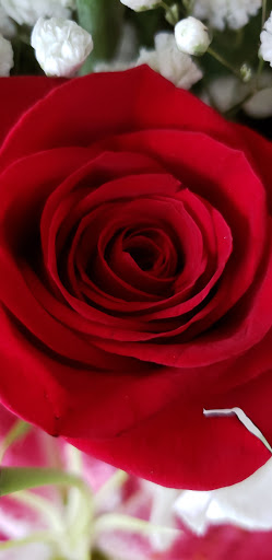 Florist «Flowers By Maryellen», reviews and photos, 1619 Ocean St, Marshfield, MA 02050, USA