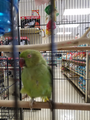 Pet Store «Species Pet Supply», reviews and photos, 1935 W Brandon Blvd, Brandon, FL 33511, USA