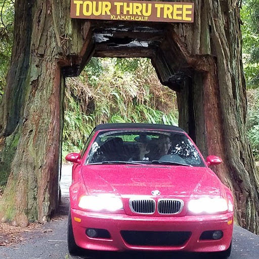 Tourist Attraction «Klamath Tour Thru Tree», reviews and photos, 430 California 169, Klamath, CA 95548, USA