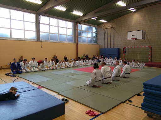 Judo-Hasen-Spandau