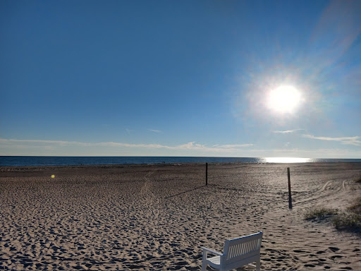 Resort «The Sea Pines Resort», reviews and photos