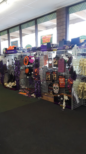 Dollar Store «Dollar Tree», reviews and photos, 1160 Havendale Blvd NW, Winter Haven, FL 33881, USA