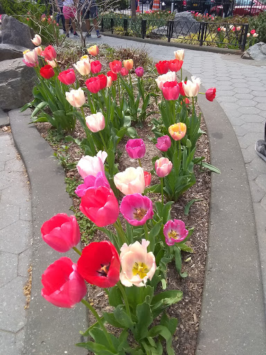 Park «Columbus Park», reviews and photos, 67 Mulberry St, New York, NY 10013, USA
