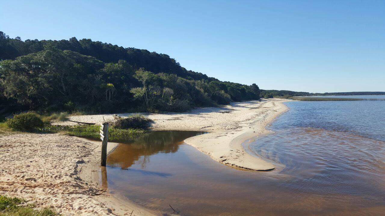 Foto von Praia do Jacarezinho wilde gegend