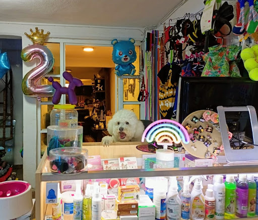 Accesorios para mascotas Messi Pet Shop