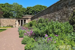 Amisfield Walled Garden image