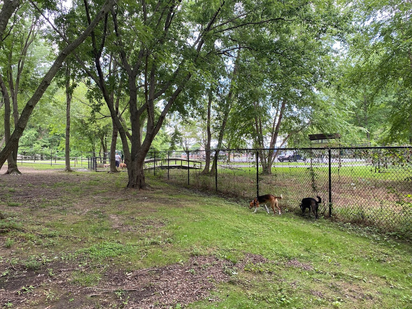 Island Dog Park