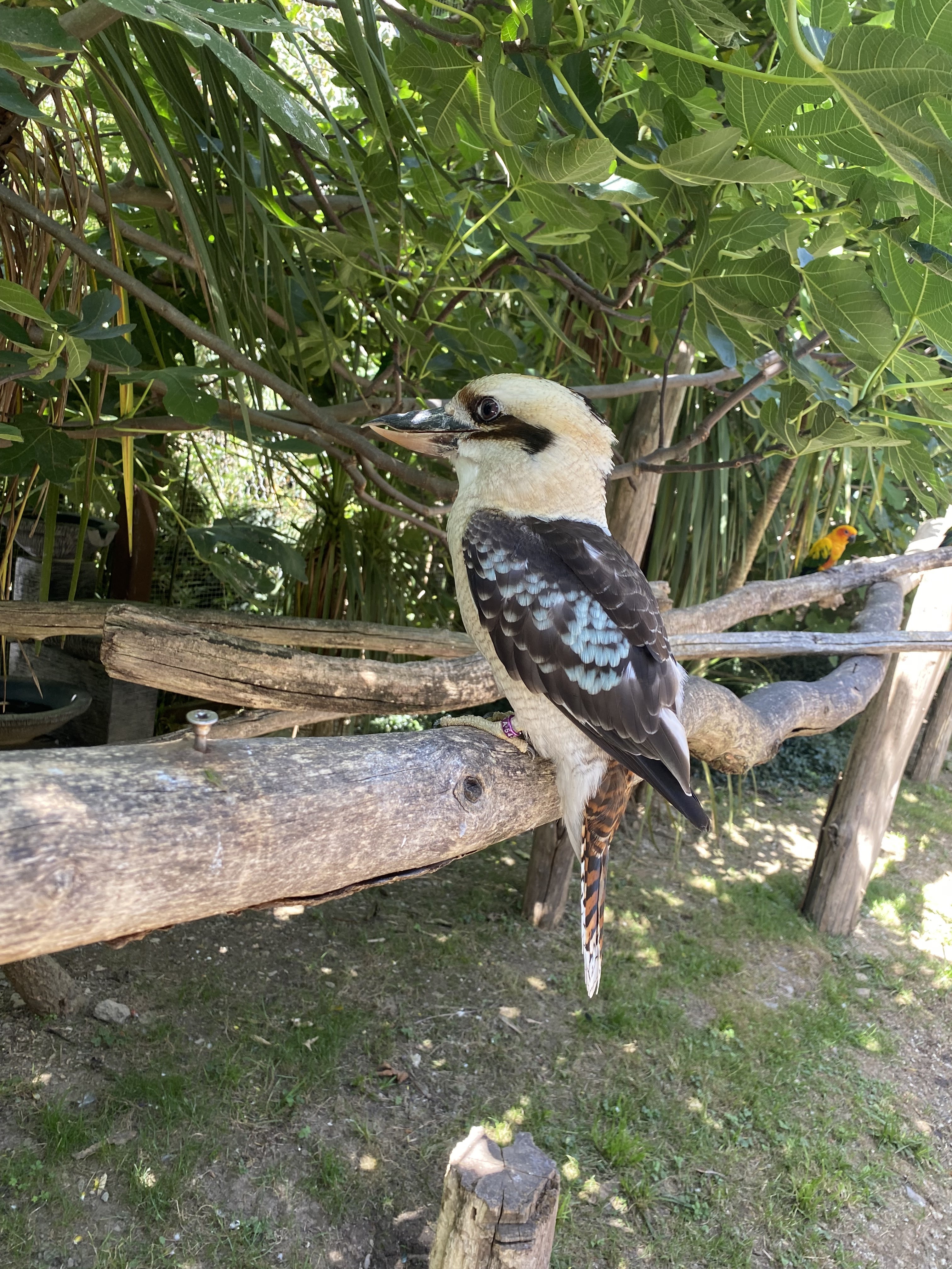 Photo n° 3 de l'avis de Nicolas.h fait le 09/08/2023 à 21:02