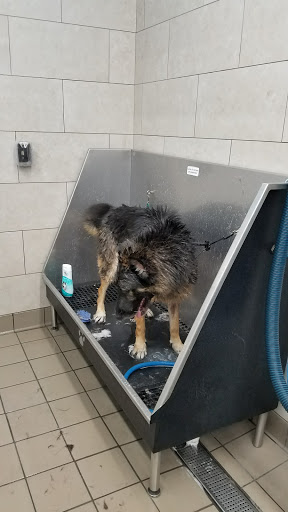 Pet Supply Store «Pet Supplies Plus», reviews and photos, 7041 Barker Cypress Rd, Cypress, TX 77433, USA