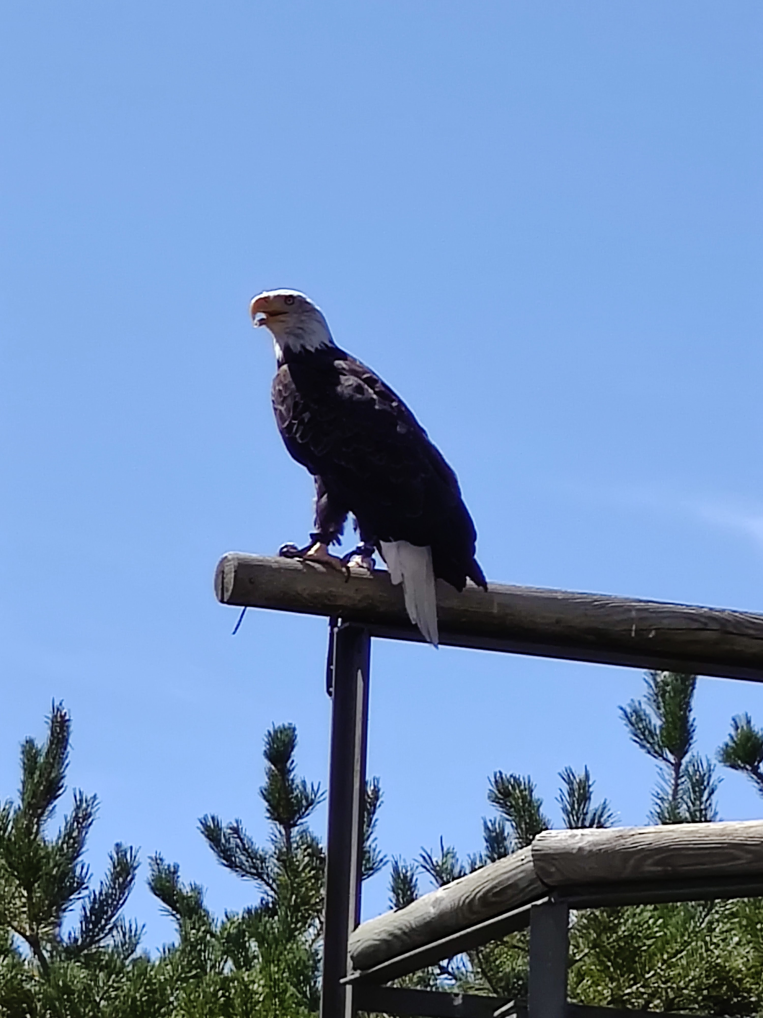 Photo n° 5 de l'avis de Julien.o fait le 14/08/2020 à 12:49