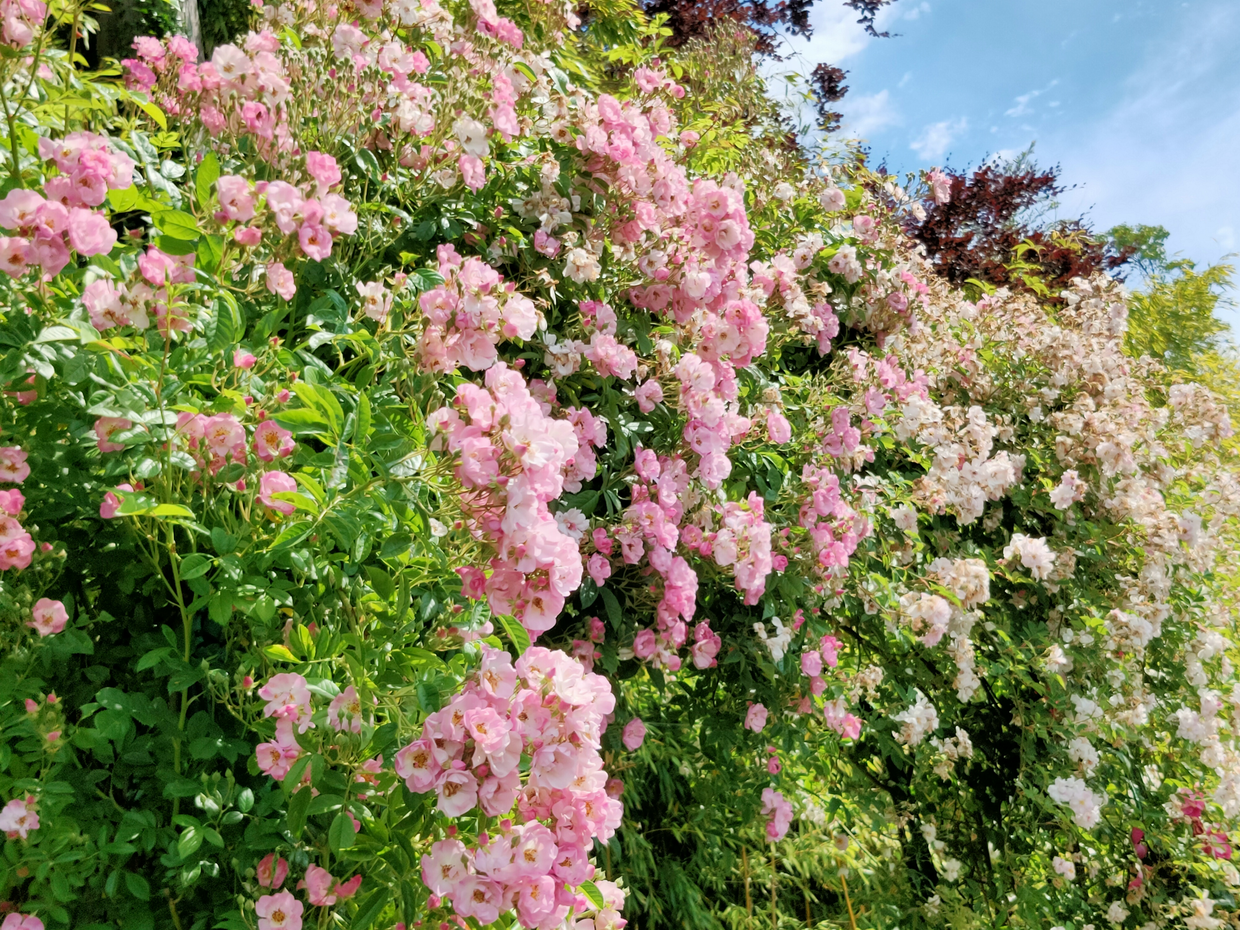 Photo n° 12 de l'avis de Juliette.e fait le 08/06/2022 à 08:02