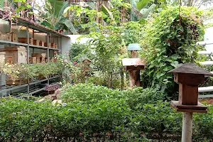 Madu Kuningan Makun image