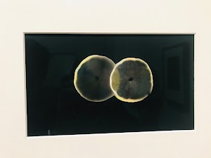 Sheldon Museum of Art - photo 56