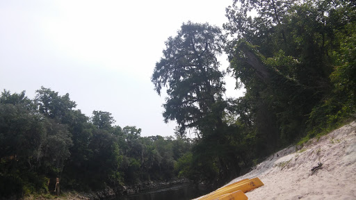 Festival «Spirit of the Suwannee Music Park», reviews and photos, 3076 95th Dr, Live Oak, FL 32060, USA