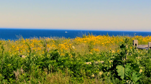 Golf Club «Sankaty Head Golf Club», reviews and photos, 100 Sankaty Rd, Nantucket, MA 02554, USA