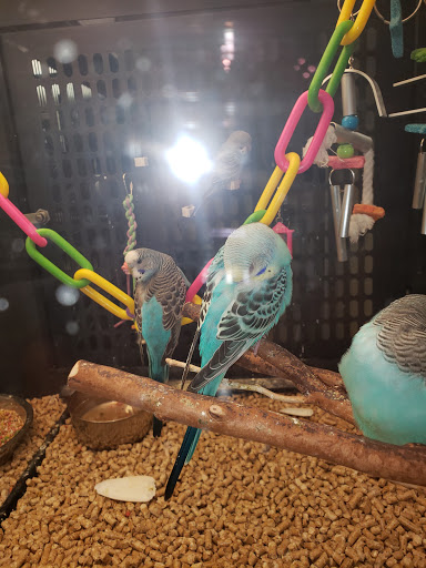 Pet Supply Store «PetSmart», reviews and photos, 3780 Riverchase Village #300, Hoover, AL 35244, USA