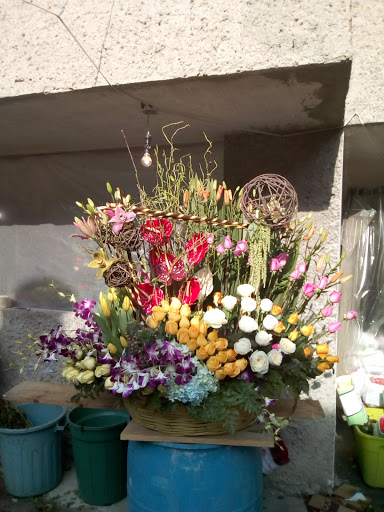 Cheap flower shops in Toluca de Lerdo