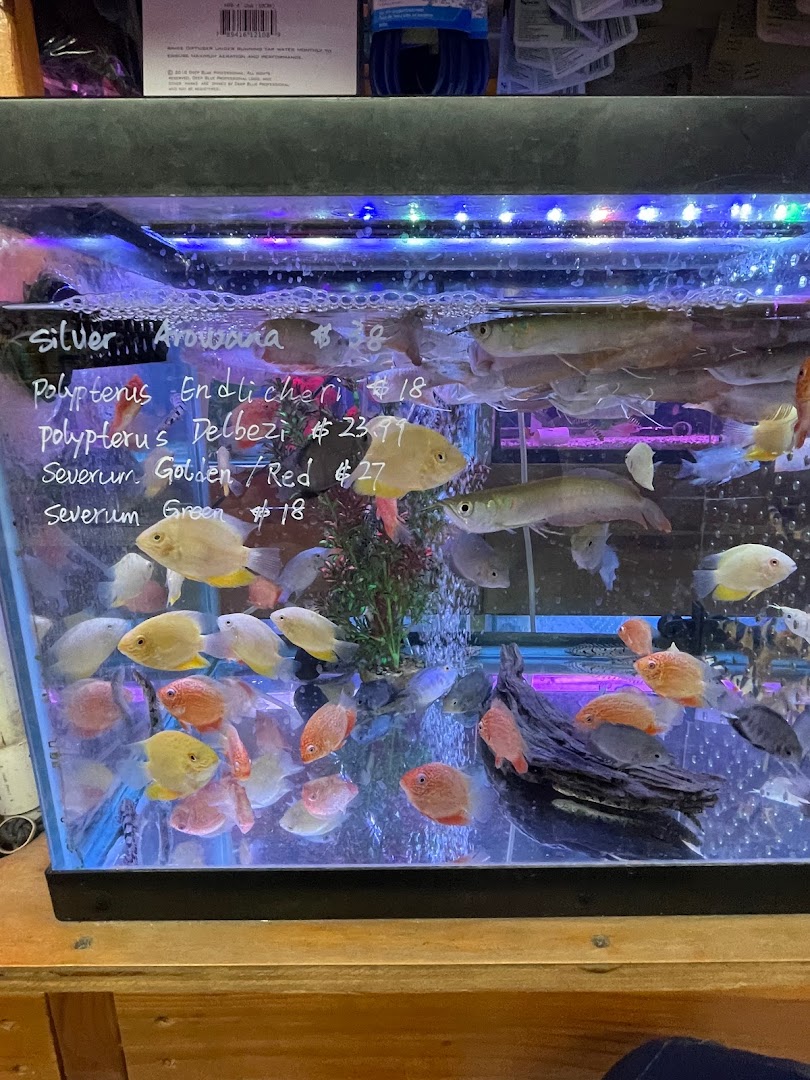 New Lucky Fish Aquarium & Pet Supply