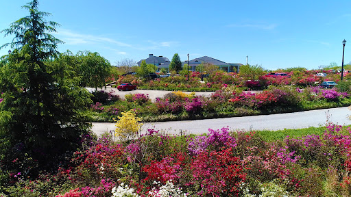 Toy Store «Babyland General Hospital», reviews and photos, 300 NOK Dr, Cleveland, GA 30528, USA