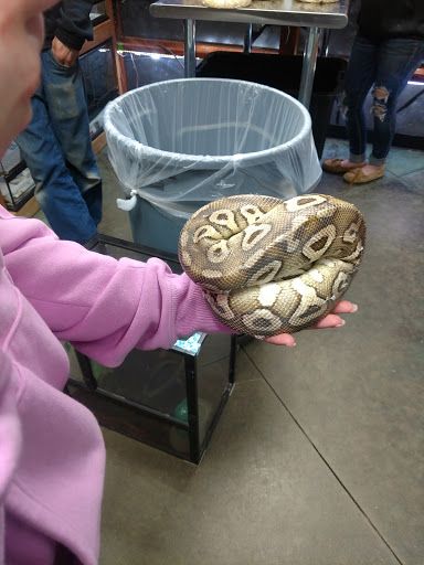 Pet Store «Zoo Creatures Pet Store», reviews and photos, 149 Plaistow Rd, Plaistow, NH 03865, USA