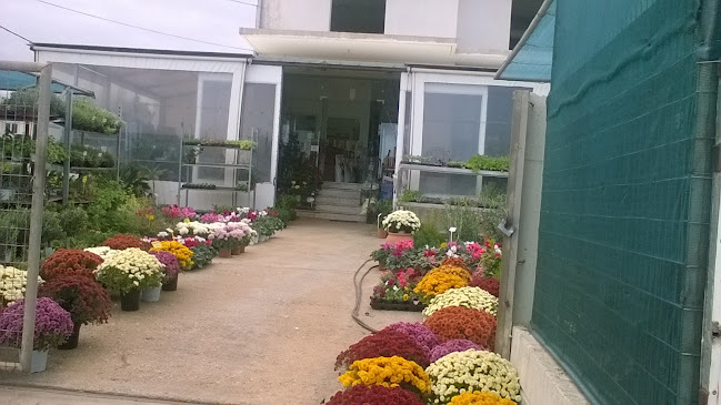 Opinii despre ΦΥΤΟΤΕΧΝΙΚΗ ΚΟΚΟΛΑΝΤΩΝΑΚΗΣ Ν. ΧΑΡΤΖΟΥΛΑΚΗΣ Ι. Ο.Ε. în Ακρωτήρι - Κατάστημα εργαλείων