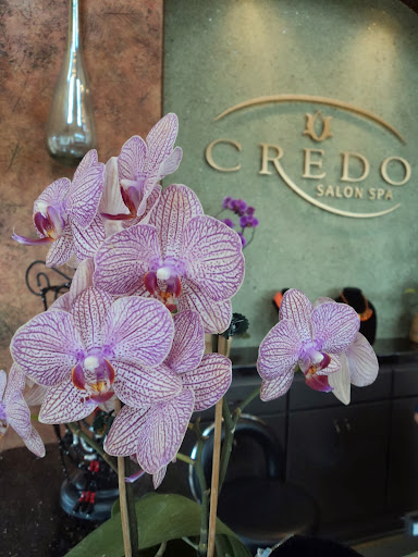 Skin Care Clinic «Credo Salon Spa», reviews and photos, 105 New England Pl #110, Stillwater, MN 55082, USA