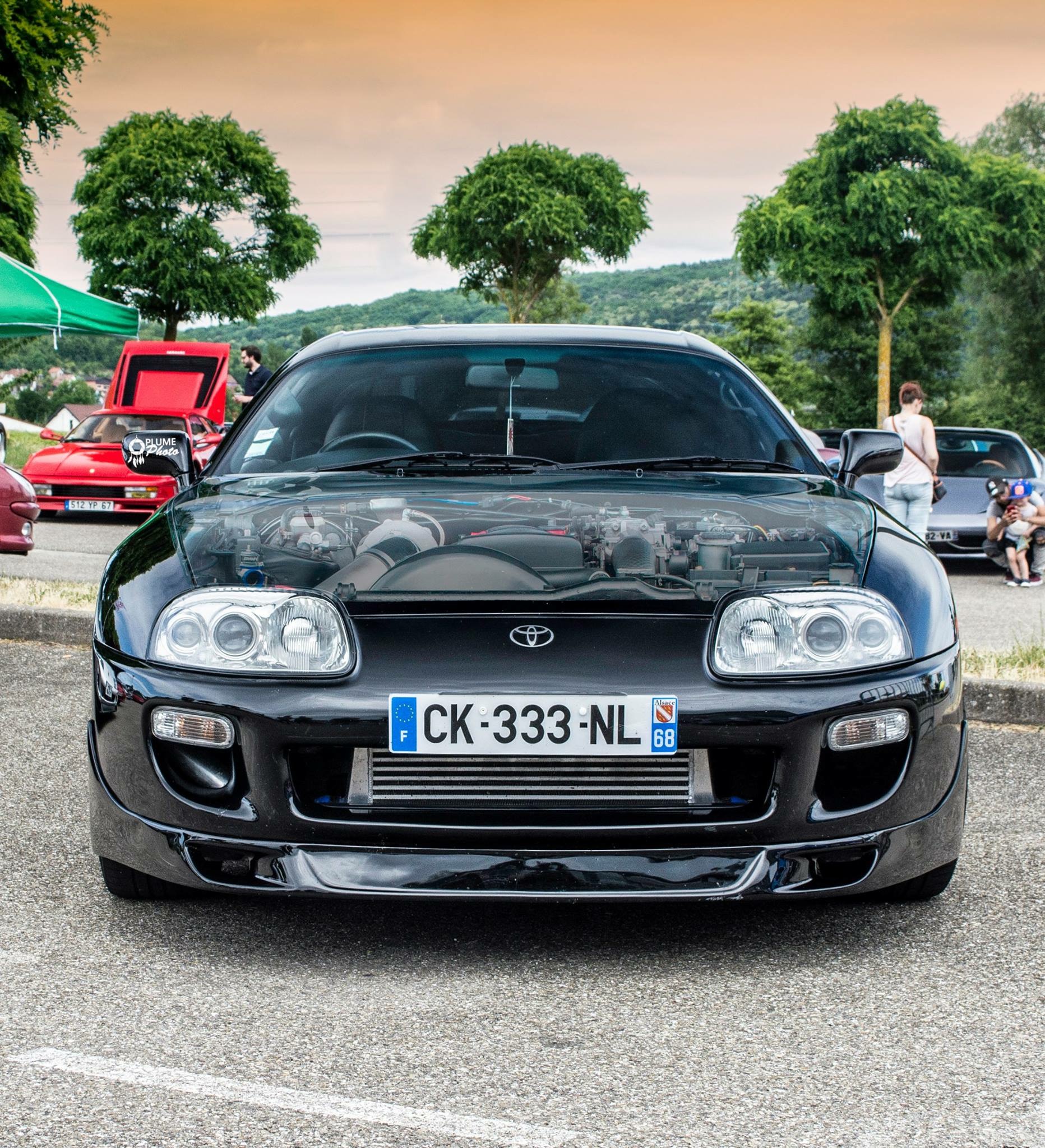 Photo n° 2 de l'avis de jolyplum. fait le 03/08/2018 à 05:32