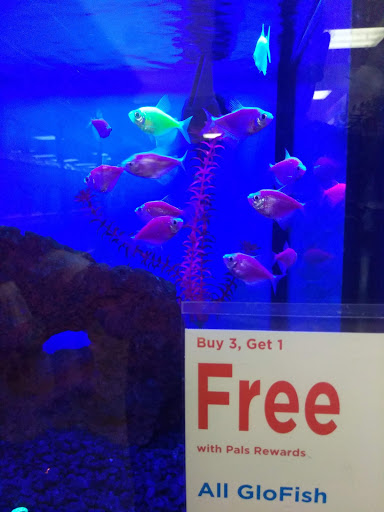 Pet Supply Store «Petco Animal Supplies», reviews and photos, 1919 El Camino Real, Mountain View, CA 94040, USA